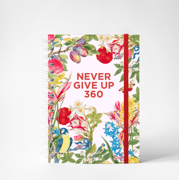 Never Give Up 360 - Harmony